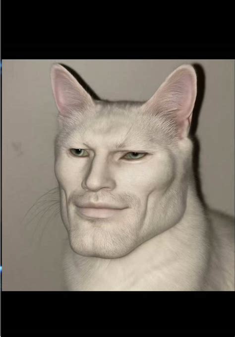 Gigachad Cat