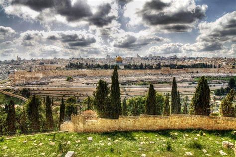 gil travel israel tours
