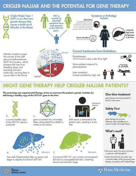 gilbert and crigler najjar syndrome