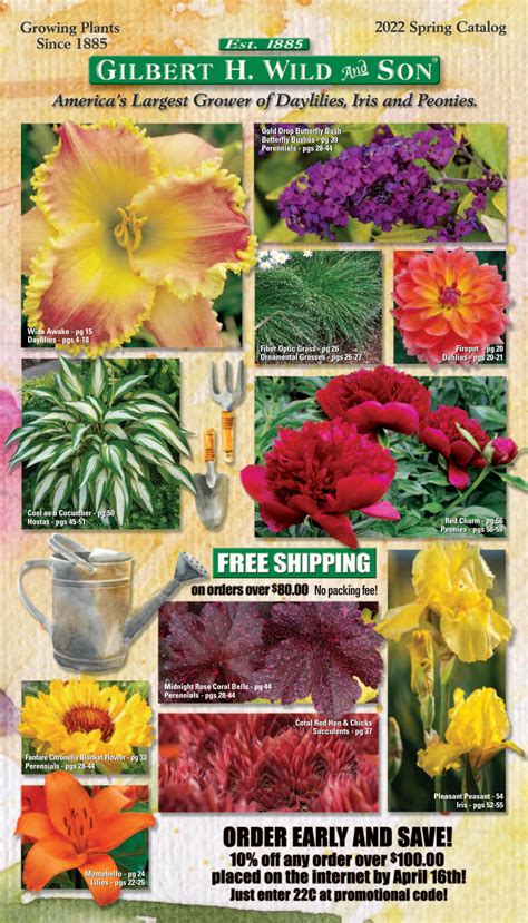 Gilbert H Wild Catalog