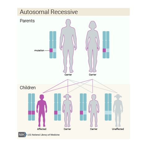 Gilbert Syndrome Mode Of Inheritance