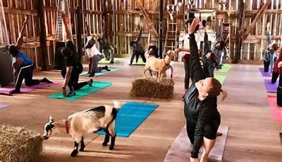 Gilbertsville Farmhouse Ny Goat Yoga