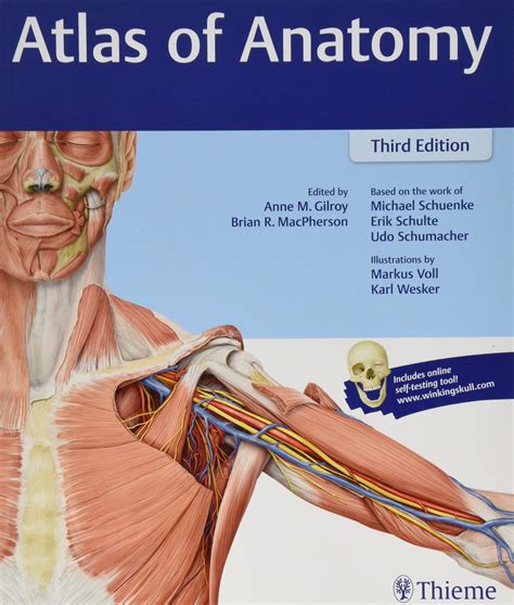 gilroy a. et al. atlas of anatomy thieme