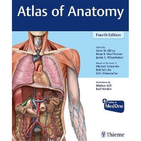 gilroy atlas of anatomy
