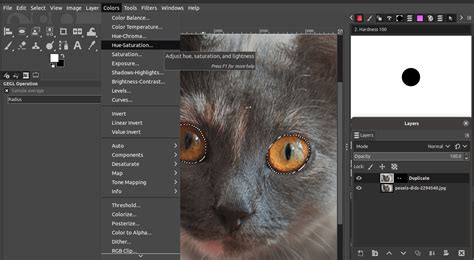 Gimp Filter Saturation