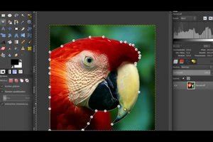 SchrittfürSchrittAnleitung für Gimp Transparenten Hintergrund PNG