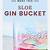 gin bucket recipe