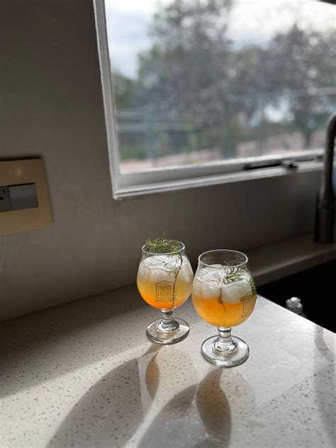 gin and tonic ginger