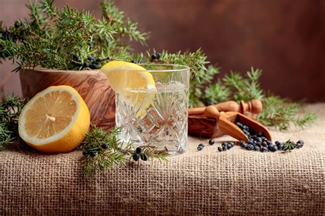Gin From Juniper
