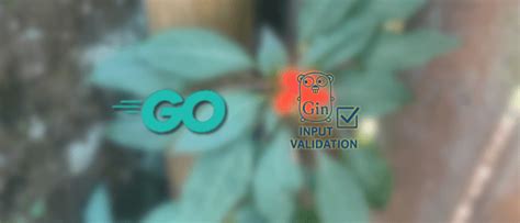 Gin Golang Validation