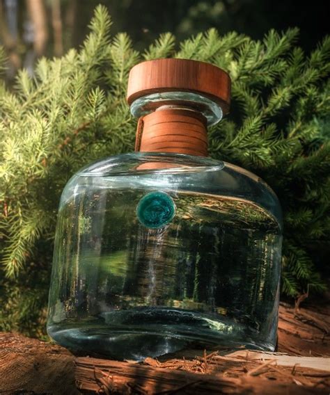 Gin Is Made From Juniper
