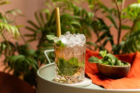 Gin Julep Rezensionen