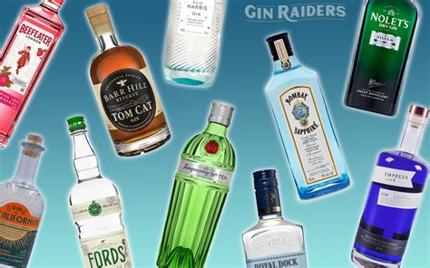 Gin Meaning In English With Example