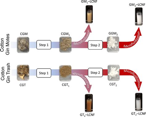 Gin Motes Definition