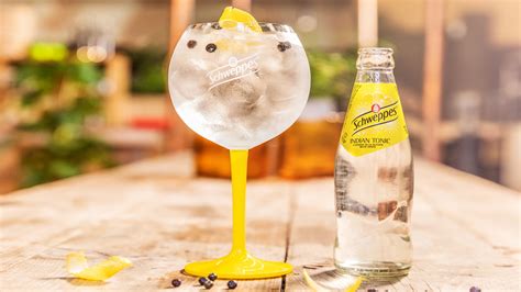 Gin Tonic Schweppes