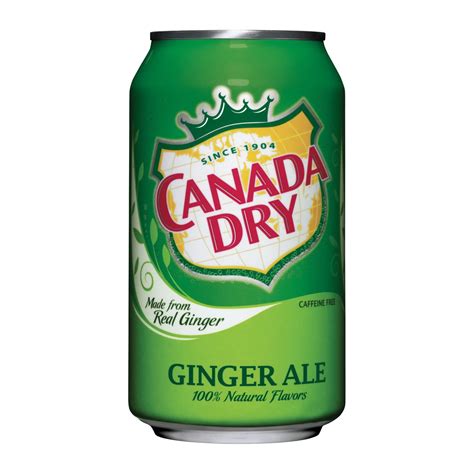 Ginger Ale With Soda