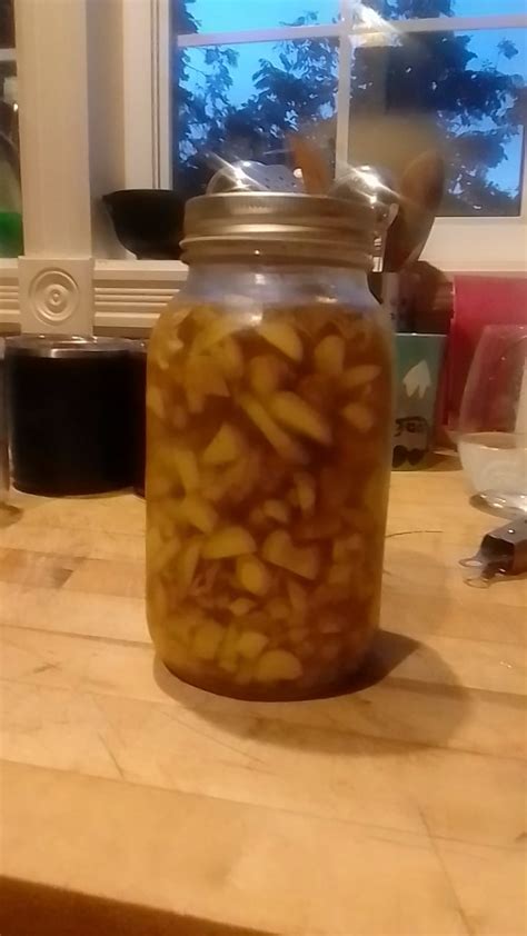 Ginger Bug In Fridge