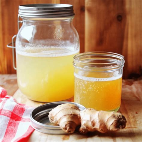 Ginger Bug Temperature