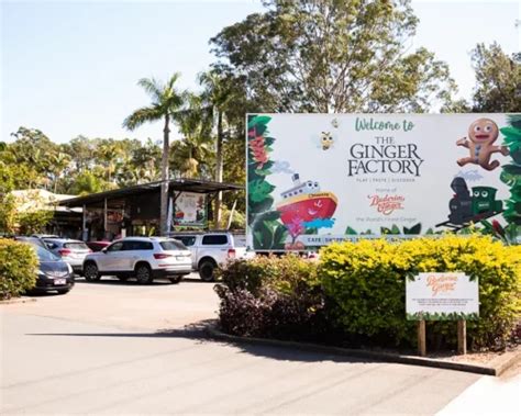 ginger factory plan your visit