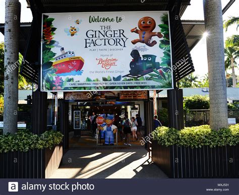 ginger factory ticket