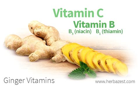 Ginger In Vitamins