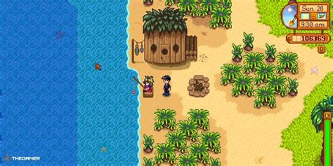 Ginger Island Quests Stardew Valley