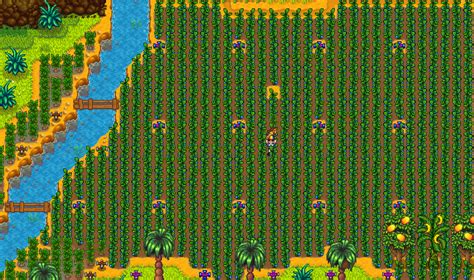 Ginger Island Sprinkler Layout