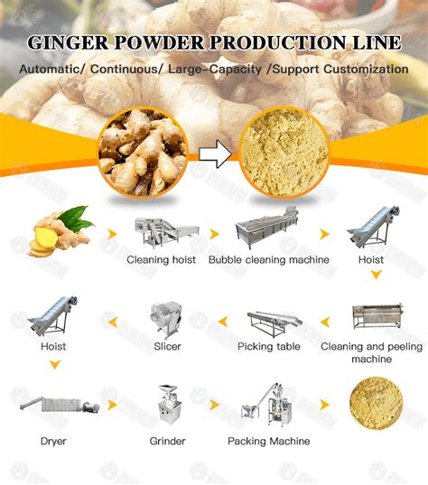 Ginger Powder Processing