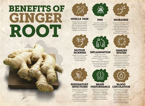Ginger Root Benefit