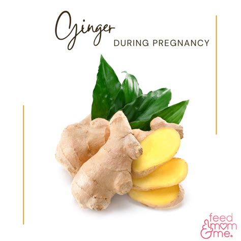 Ginger Root During Pregnancy Tea