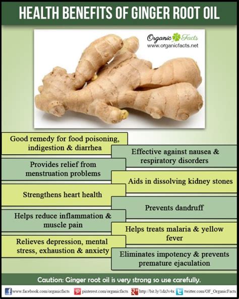 Ginger Root Oil Benefits