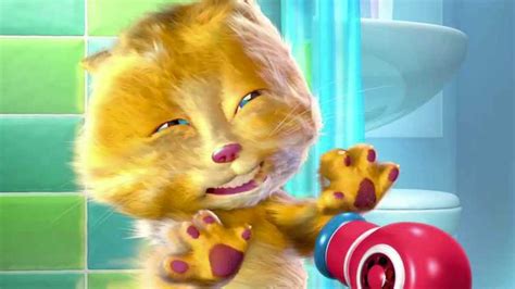 Ginger Talking Kitten