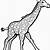 giraffe coloring picture printable