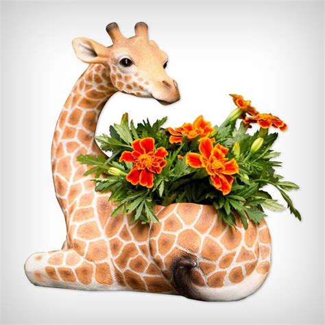 giraffe gifts