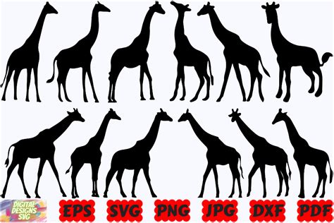 Craft Stunning Designs with High-Quality Giraffe SVGs - Get Yours Now!