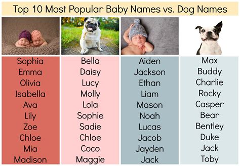 Girl and Boy Dog Names