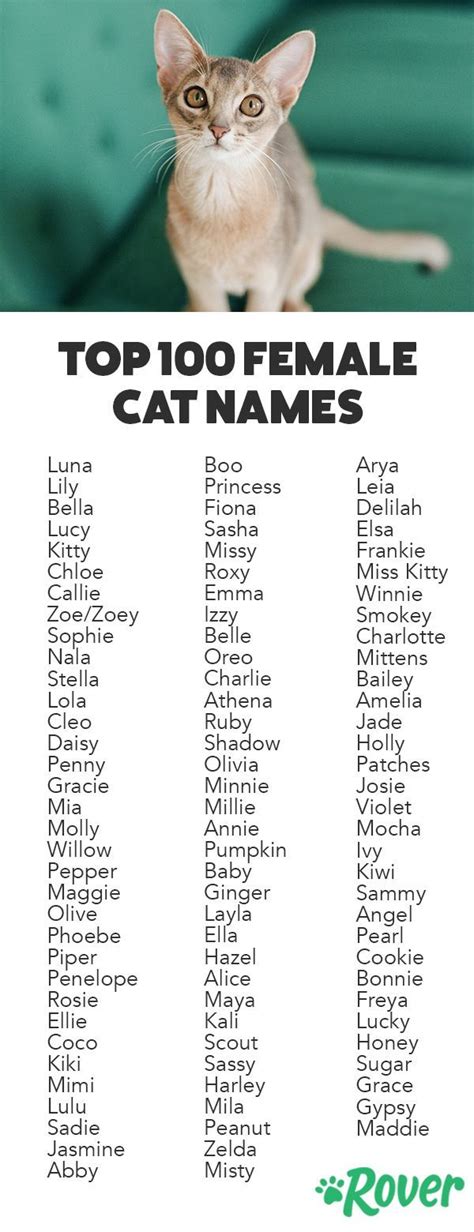 girl cat names starting with a