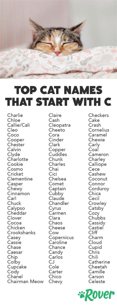 girl cat names that start with a c