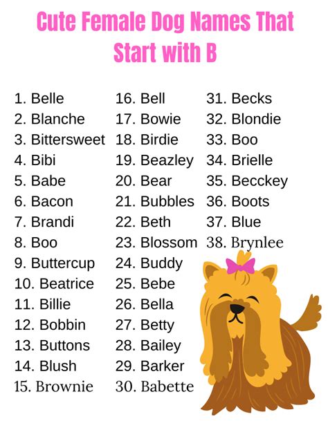 Girl Dog Names Starting with B