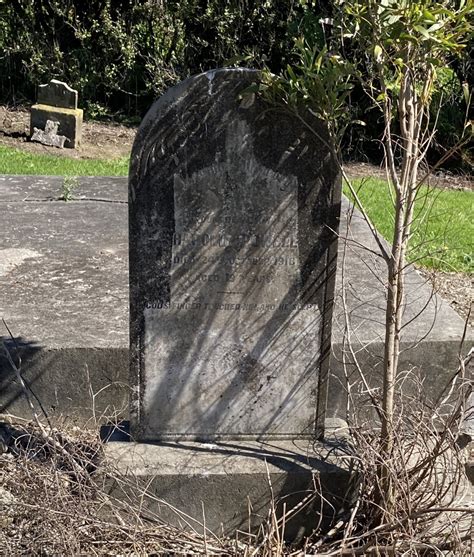 gisborne district council cemetery database