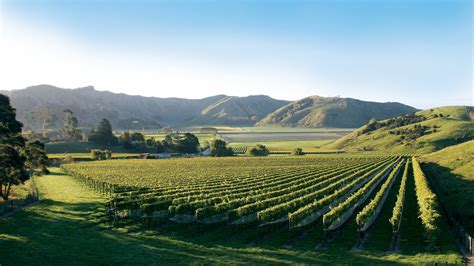 gisborne new zealand wine