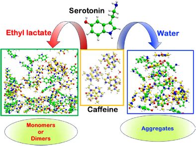 gist Of caffeine On lactate
