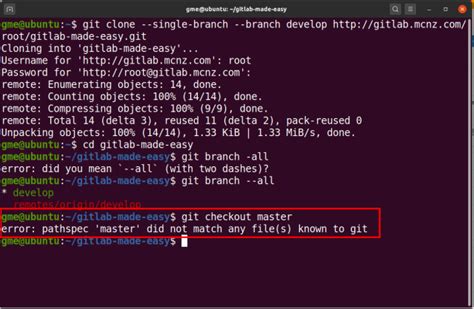 git clone example https