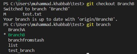 git command line switch branch