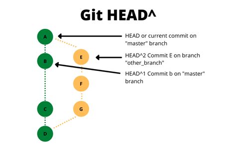Git Head Vs Branch