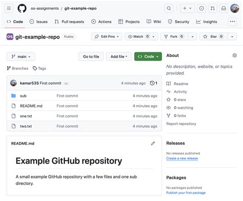 Github Example Repository