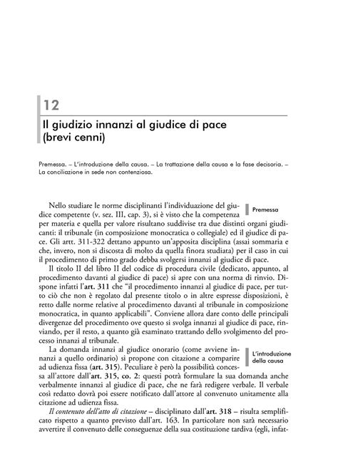 giudizio davanti al giudice di pace