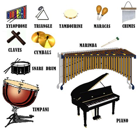 give 5 examples of percussion instruments