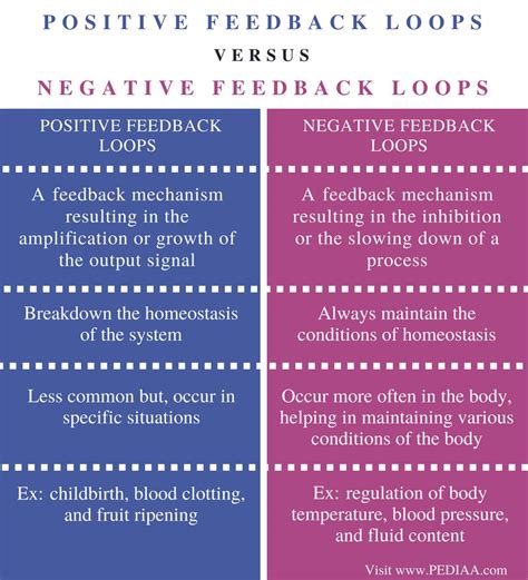 give example of positive and negative feedback mechanism