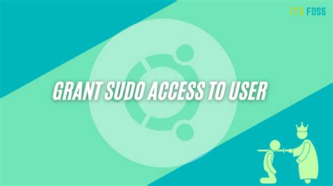 give sudo access to user in ubuntu